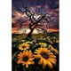 thumbnail image 2 of Cuadros Decorativos 5D DIY diamante pintura completo redondo taladro árbol flor mosaico strass imagen Tmvgtek embutido en tela, 2 of 9