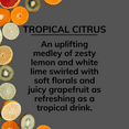 thumbnail image 3 of Citrus Magic On The Go Air Freshener Spray for Auto, Tropical Citrus, 8 Ounce, 2-Count, 3 of 7
