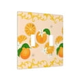 thumbnail image 2 of PAYOHTO Toggle Light Switch Wall Plate Orange Fruit Flowers Horizontal Border Double Switch Cover Standard Size 2-Gang 4.50" x 4.5" Unbreakable Polycarbonate Thermoplastic, 2 of 6