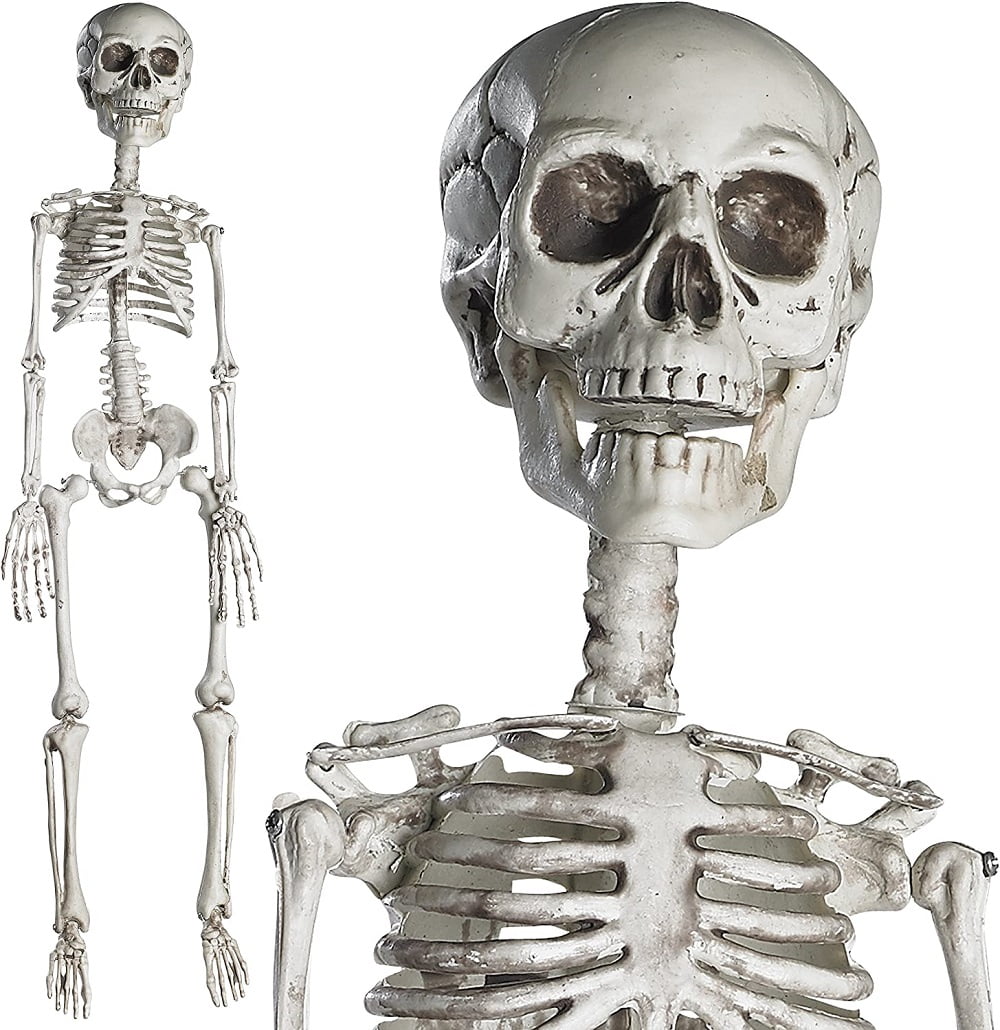 Fancy Dress Hanging Skeleton 30" Halloween Decoration/Prop 