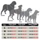 thumbnail image 4 of Arnés táctico para perros, chaleco de servicio militar de entrenamiento para trabajo de mascotas ajustable, arnés reflectante para perros pequeños, medianos y grandes, 4 of 5