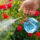 thumbnail image 4 of Pumpkin Plastic Spray Bottle Gardening Supplies Colorful Small Spray Bottle, 4 of 5