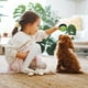thumbnail image 3 of Botón de entrenamiento para perros que ladran | Juguete de comunicación con grabación de voz para mascotas | Botón interactivo para perros | Herramienta de entrenamiento conductual para aliviar la an, 3 of 5