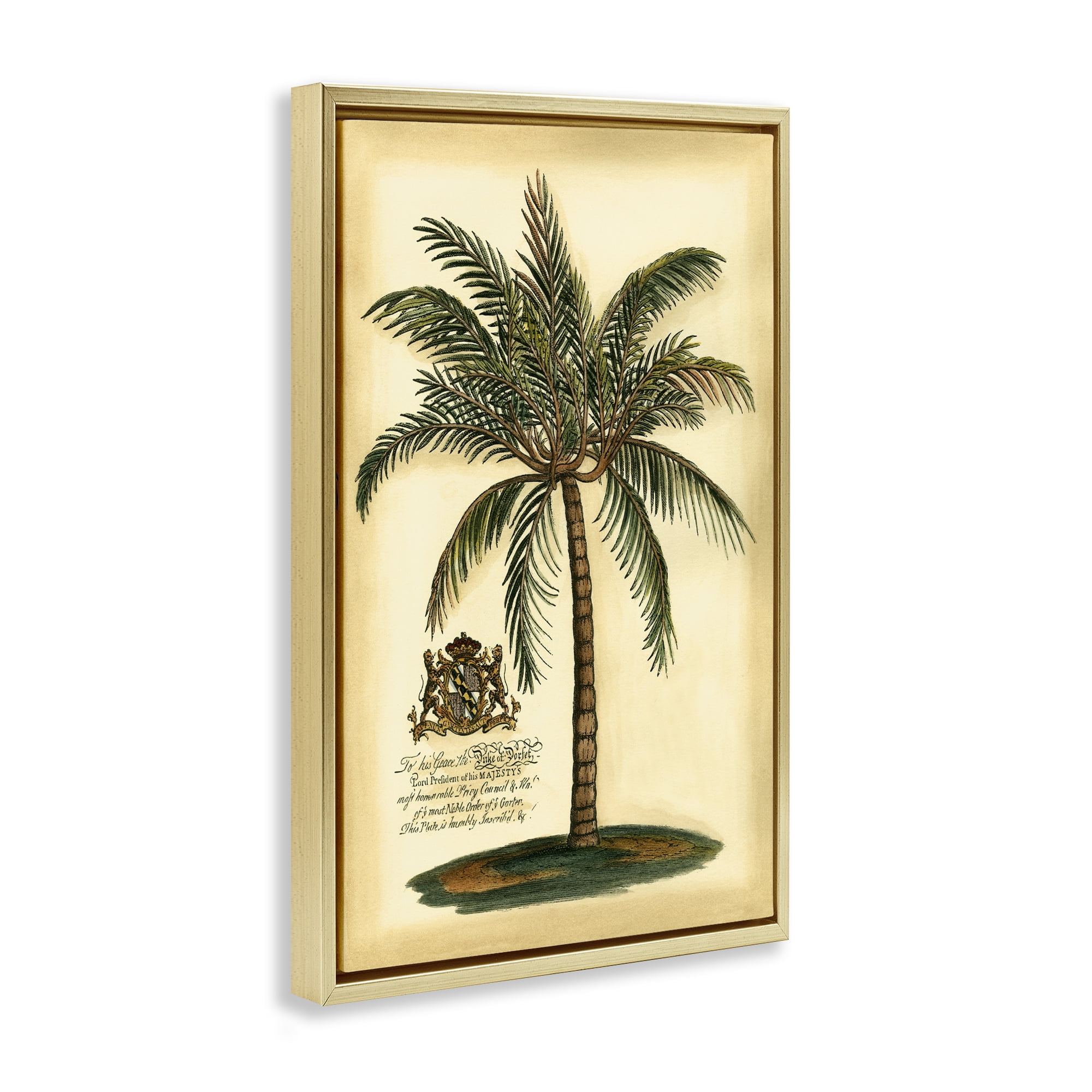 Stupell Industries British Colonial Palm Gold Framed Floater Canvas Wall Art, design by Vision Studio