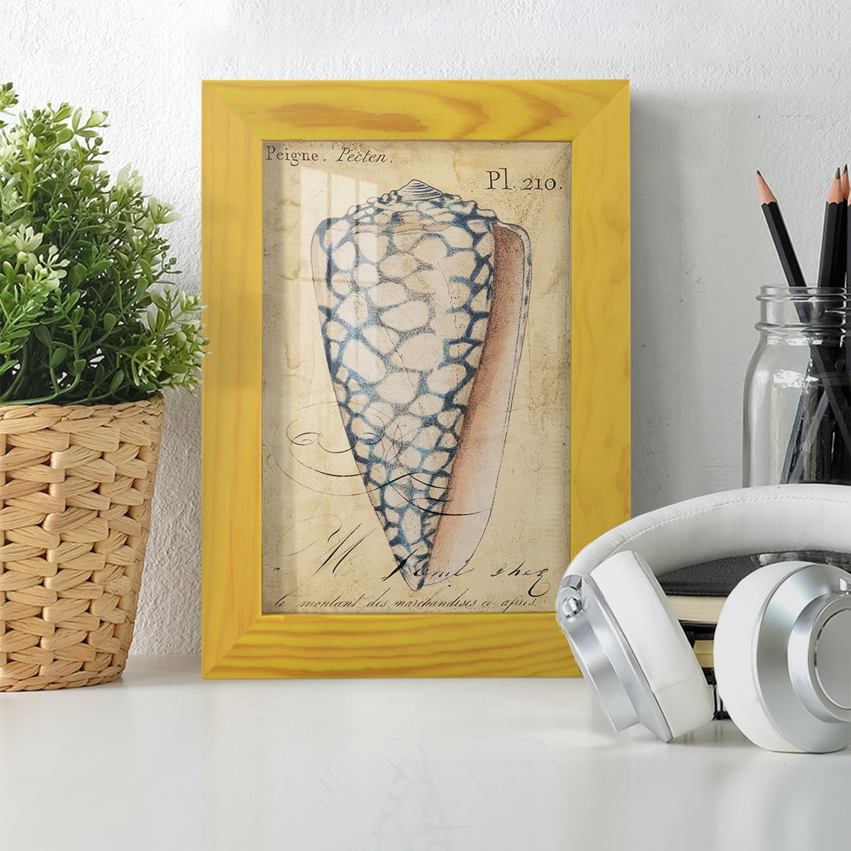Seashell Ephemera IV - Framed Print w/glass - Sunflower Yellow
