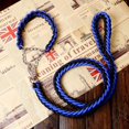 thumbnail image 4 of Juego de correa y collar de nailon duradero de 1,3 m para perros, cuerda de tracción, accesorios para pasear perros medianos y grandes, arnés para perros con cadena en P para labradores y huskys, 4 of 5