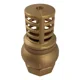 thumbnail image 1 of Pichancha 1/2 Pulgada OrangePumps Válvula de Pie en Bronce Ds104-1/2, 1 of 2