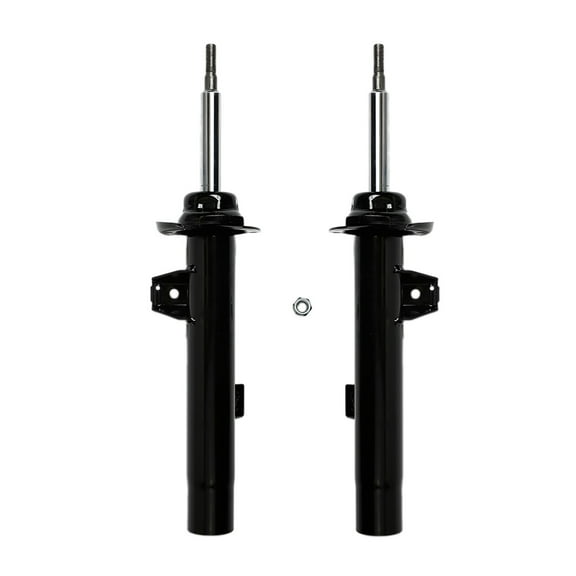 Pair of 2 Front Left-Right Suspension Strut Assembly For 2007-2013 BMW 328I