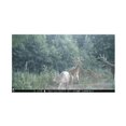 thumbnail image 6 of Browning Trail Cameras 16MP Strike Force Extreme Game Cam (4-Pack) w/Card Reader, 6 of 14