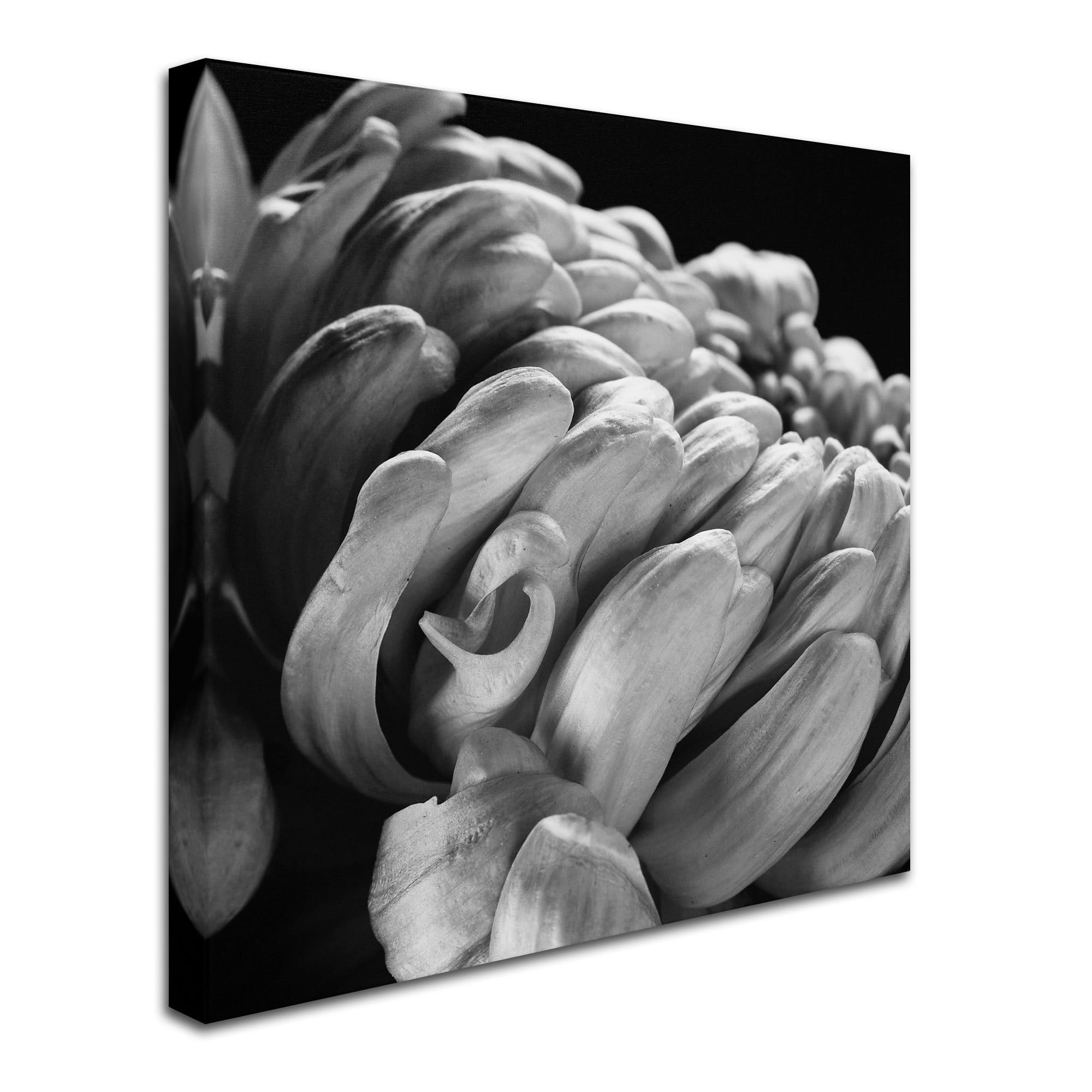 Trademark Fine Art "Mum I" Canvas Art by Michael Harrison