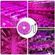 thumbnail image 3 of 4X LED la Luz de Crecimiento Tira de Luz de Crecimiento USB de Espectro Completo de 5 V 2835 Fitolamparas LED para Plantas de Cultivo Hidropónico de Invernadero 100cm, 3 of 5