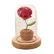 thumbnail image 1 of Flor de Flor de punto hecha a mano con centro de mesa de cúpula Mano de obra exquisita Rosa de Cumpleaños Boda Regalo del día de BLESIY Rosa De Ganchillo, 1 of 8