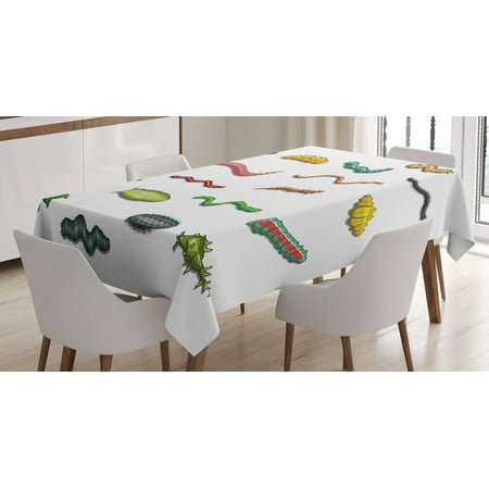 

Animals Tablecloth Cartoon Style Caterpillars and Worms Ecology Themed Wildlife Composition Ecology Rectangular Table Cover for Dining Room Kitchen 52 X 70 Inches Multicolor by Ambesonne