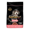 thumbnail image 1 of Alimento Para Perro Ganador Premium Cachorro Razas Pequeñas 2 kg, 1 of 4