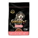 thumbnail image 1 of Alimento Para Perro Ganador Premium Cachorro Razas Pequeñas 2 kg, 1 of 4