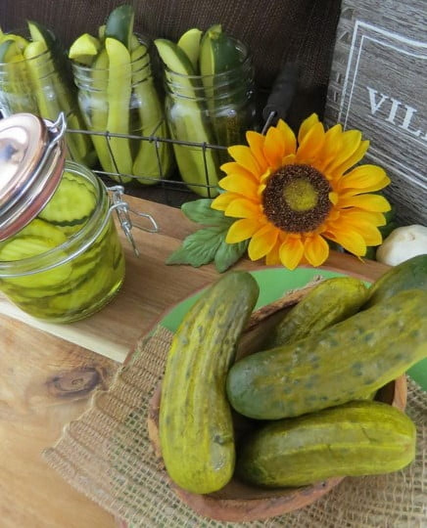 Vienna Kosher Dill Spears, 28 oz Refrigerated Jar