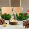 thumbnail image 5 of Christmas In A Bottle with Lights - Wooden Snow Globe Decor with Built-in Electronics for Holiday Home Decor, Festive Tabletop Centerpiece, Seasonal Gift, 5 of 5