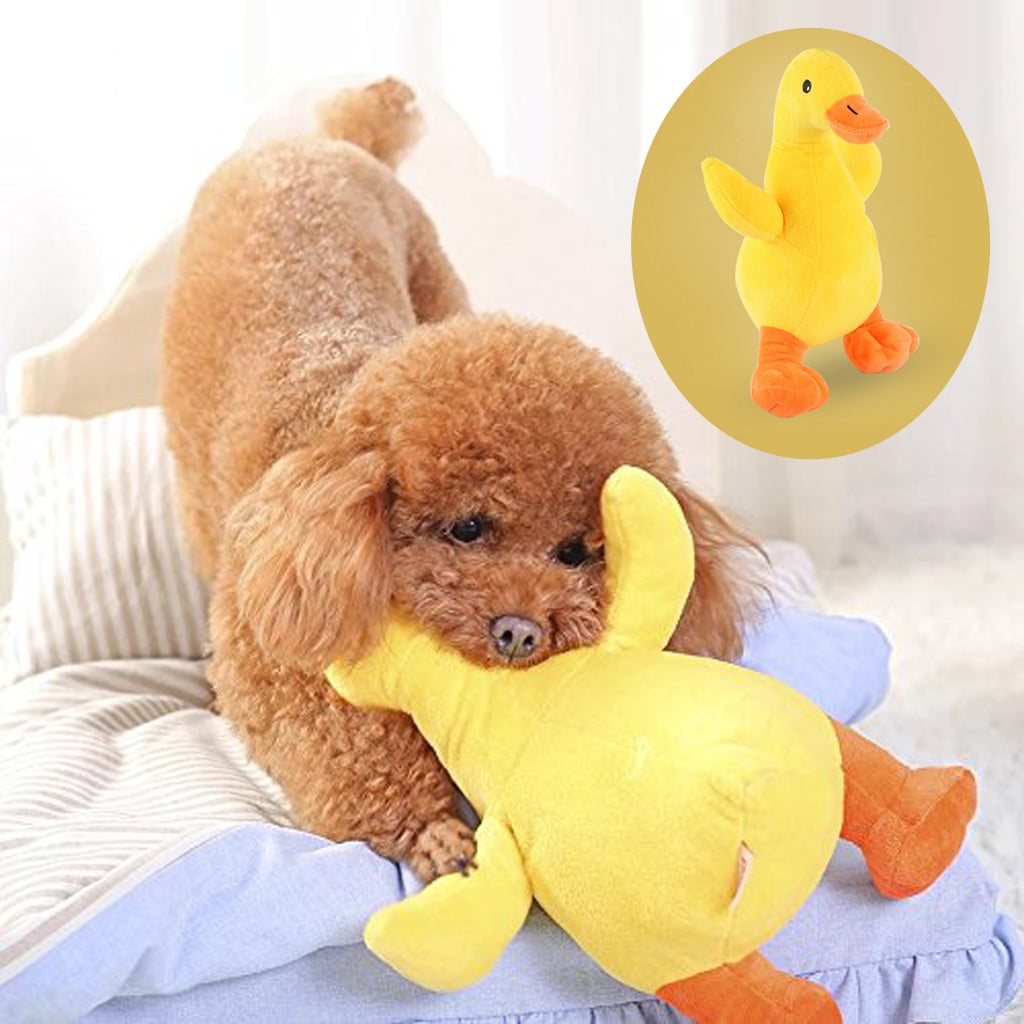 duck dog toy walmart