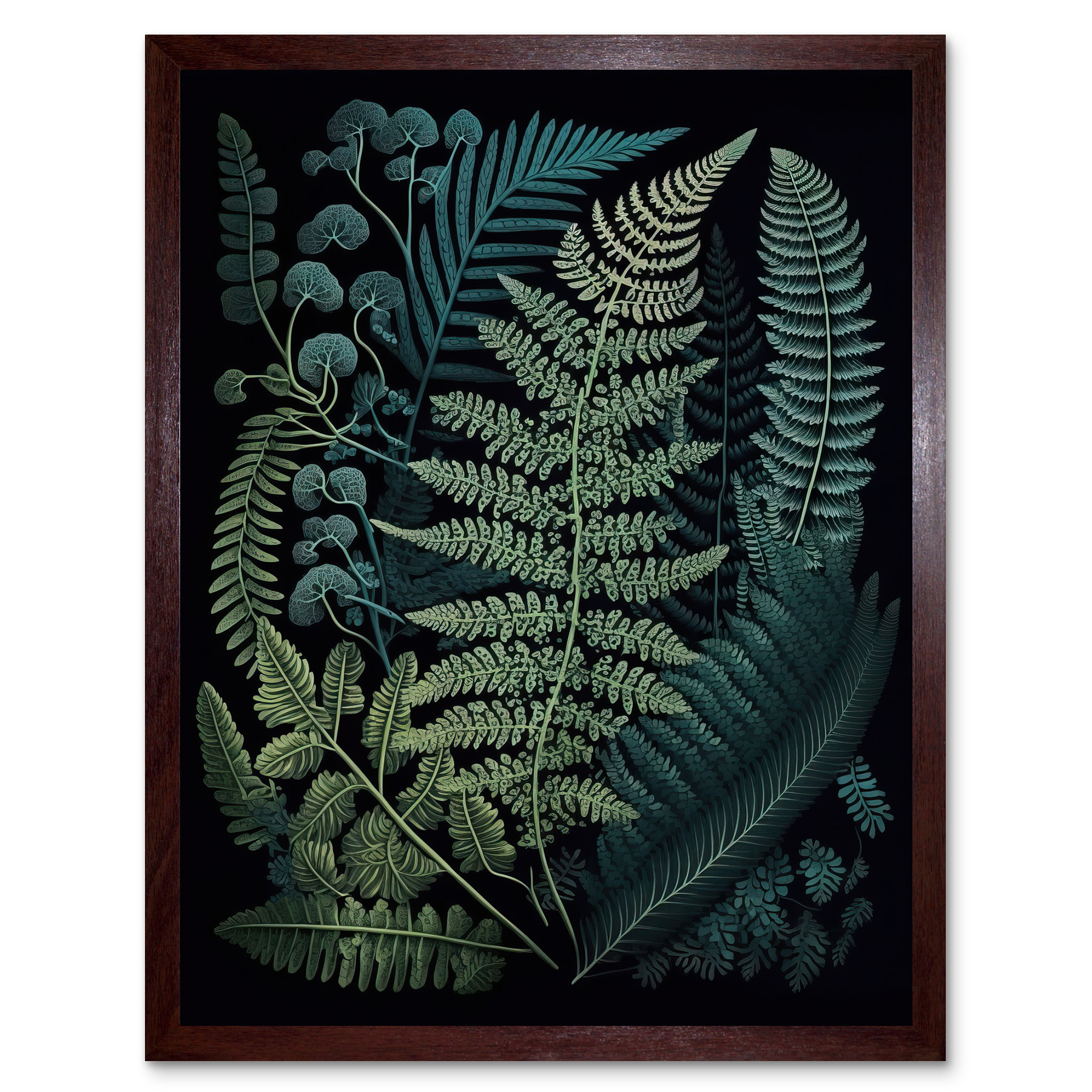 Wandbild Kunstdruck „Nature Biology Fern“ Von Ernst Haeckel – 30x41 Cm (12x16 Zoll) Auf Premium-Papier