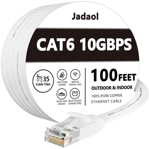 Cat 6 Ethernet Cable 100 ft, Outdoor&Indoor, 10Gbps Support Cat7 Network, Slim long Flat Internet L