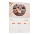 thumbnail image 5 of Calendario 2024 de bolas de gato, calendario divertido de 12 meses con bolas de gato, calendario de culo de gato para amantes de los gatos, 5 of 5