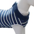 thumbnail image 3 of Traje de recuperación de cirugía ZHCH Ropa anti-lamido para El cuidado de mascotas, 3 of 5