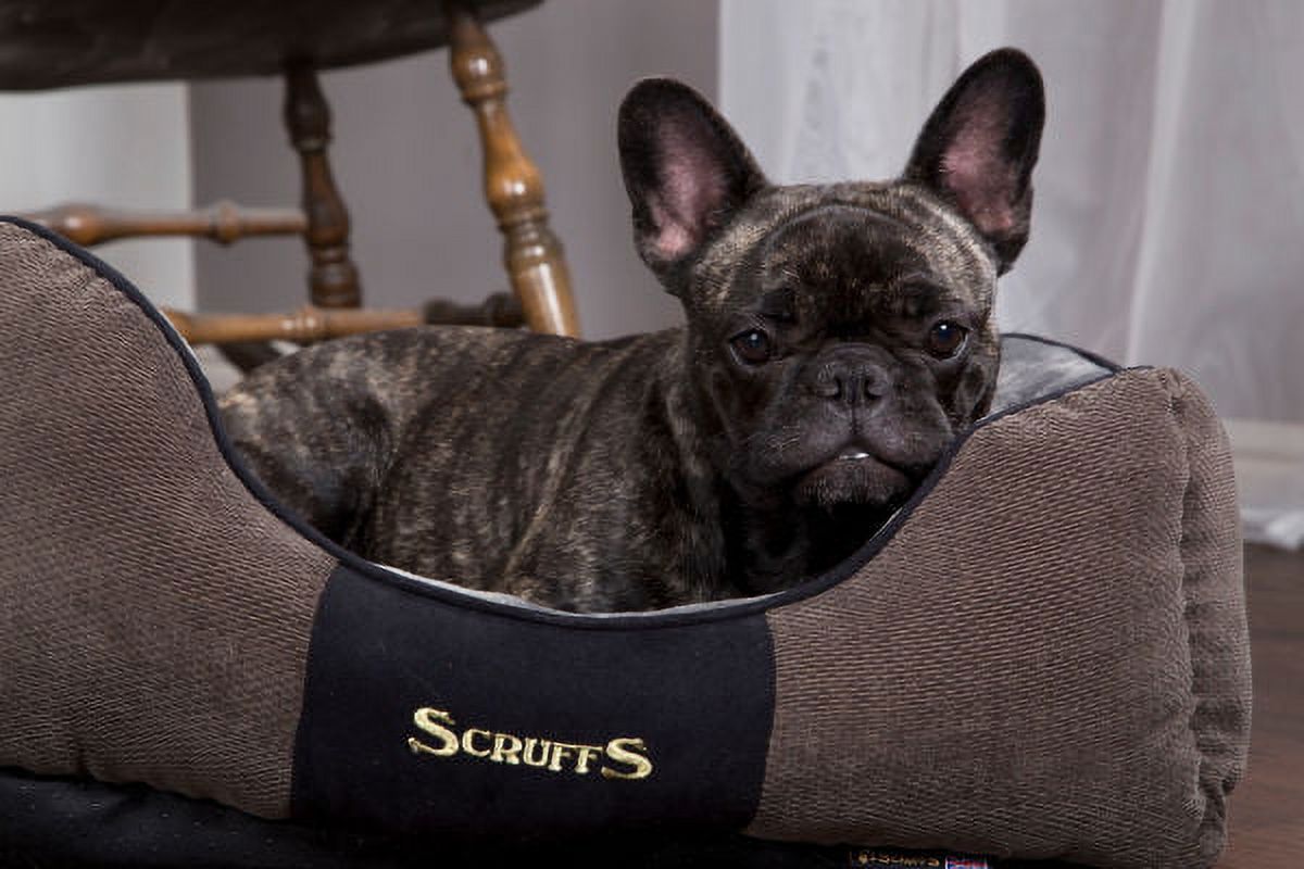 Scruffs® Chester Box Dog Bed, Modern Design, Machine Washable, Super-Soft Plush Pile Lining, Non-Slip Base, Durable Construction (Small) - Graphite Grey