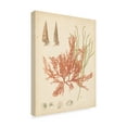 thumbnail image 2 of Trademark Fine Art 'Coastal Relic III' Canvas Art by Vision Studio, 2 of 4