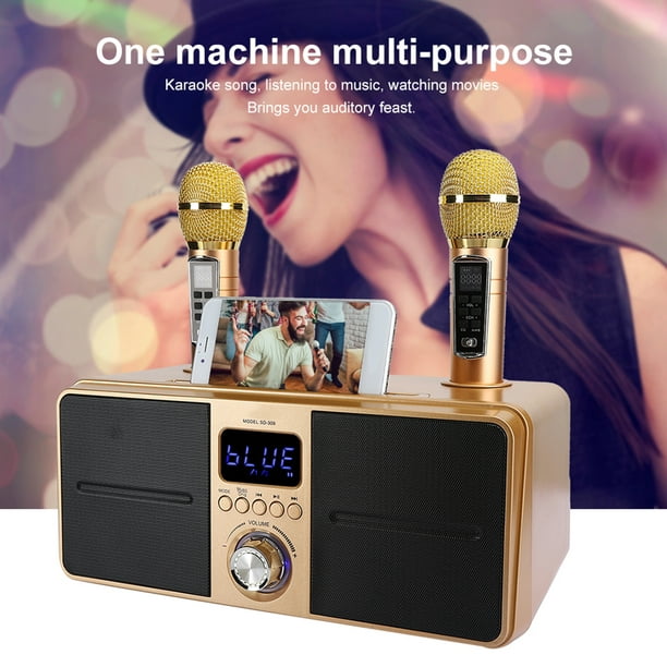 Karaoké professionnel portable haute puissance Double microphone compatible  Bluetooth Haut-parleur Outdoor Family Party Karaoke Box 100w