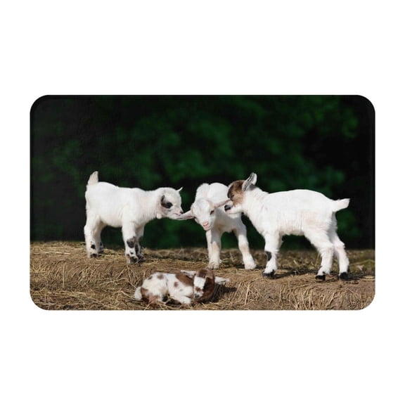 Bathroom Rugs Non Slip Washable - Cute Goat Baby Kitchen Mats for Floor, Area Rugs for Entryway Rugs Indoor, Laundry Bathroom Room Door Rug with Rubber Backing 20x31.5in
