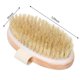thumbnail image 2 of Cepillo de cuerpo húmedo y seco exfoliante: cepillo de cerdas suave exfolia naturalmente la piel muerta, suaviza la celulitis, retarda el envejecimiento, estimula la linfa y el flujo sanguíneo Afortunado Sencillez, 2 of 5
