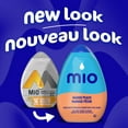 thumbnail image 2 of Aromatisant D'Eau Liquide À La Mangue Et À La Pêche, Bouteille, 2 of 16