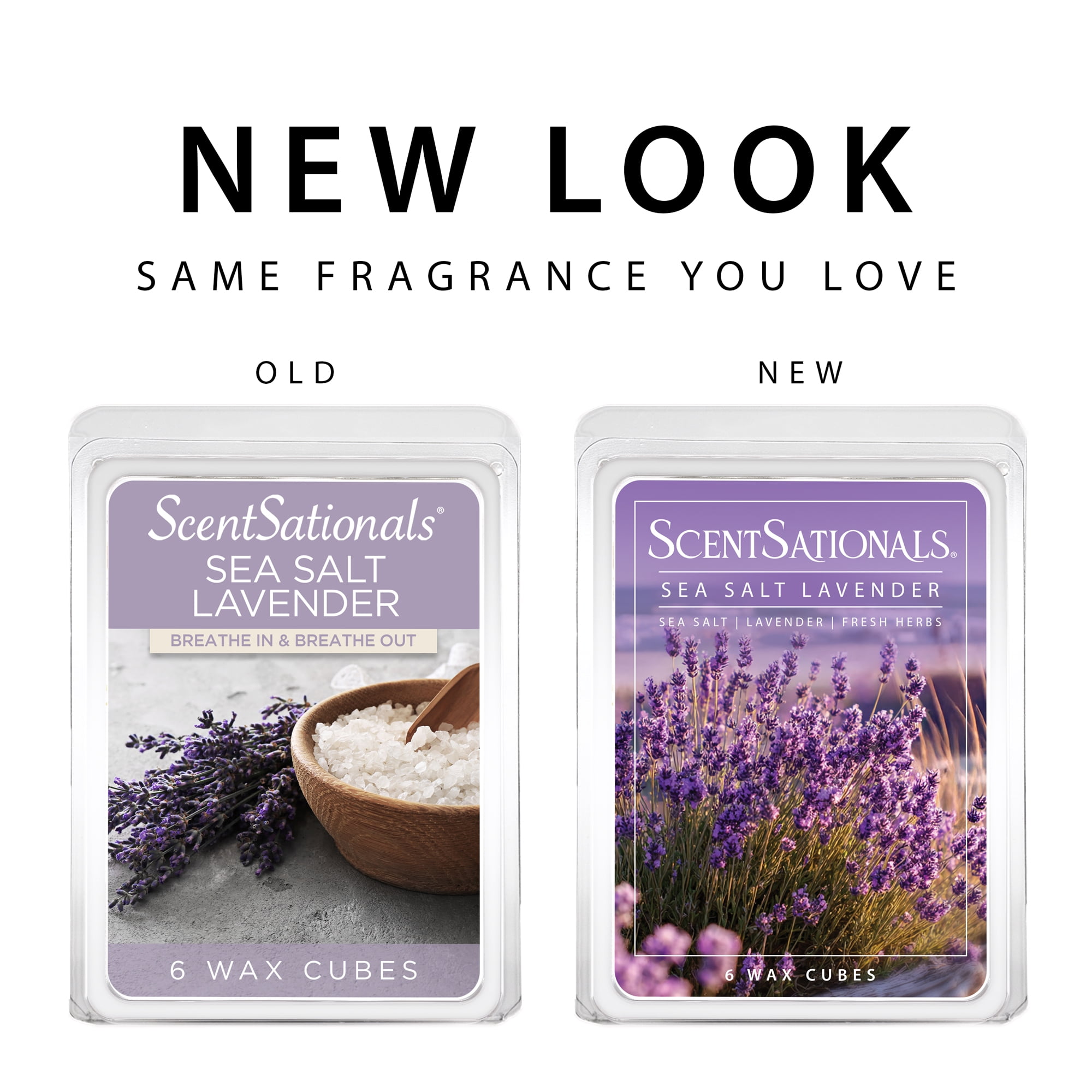 (5 pack) Sea Salt Lavender Scented Wax Melts, ScentSationals, 2.5 oz