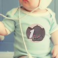 thumbnail image 2 of 1-12 Months Stickers, Newborn Months Stickers Different Pattern  Easy To Use  For Baby For Baby Photography, 2 of 8