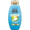 Garnier Whole Blends Coconut Water & Vanilla Milk Extracts Hydrating 2-in-1 Shampoo & Conditioner 22 fl. oz. Bottle