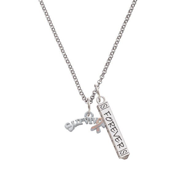 Delight Jewelry Silvertone Survivor with Pink Ribbon Silvertone Forever Bar Charm Necklace, 23"