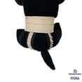 thumbnail image 3 of Barkertime Biscotti Beige Dog Diaper Pull-up, 3 of 8