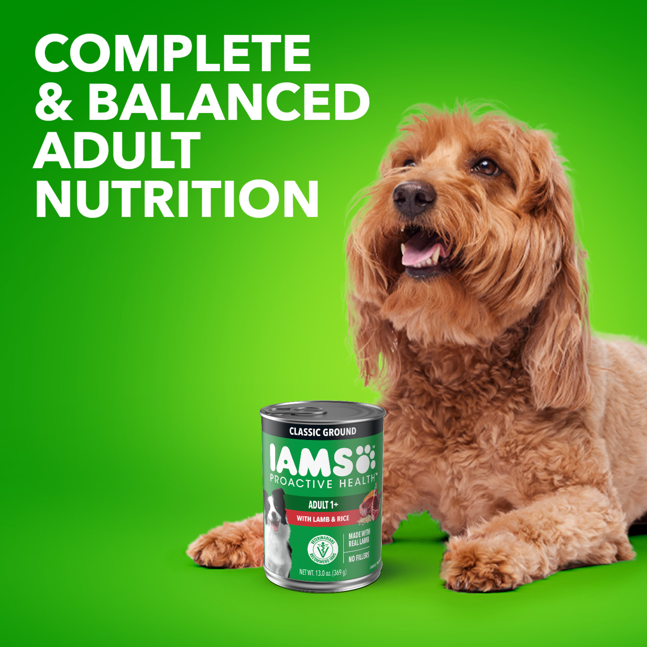 Iams Proactive Health Lamb & Rice Wet Dog Food photo 7
