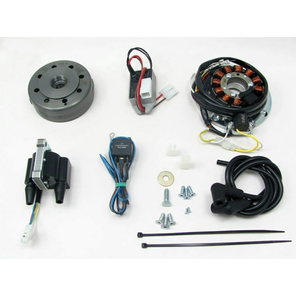 Powerdynamo VAPE Ignition System Stator for Yamaha Early TZ 2Cylinder Bolt toFly