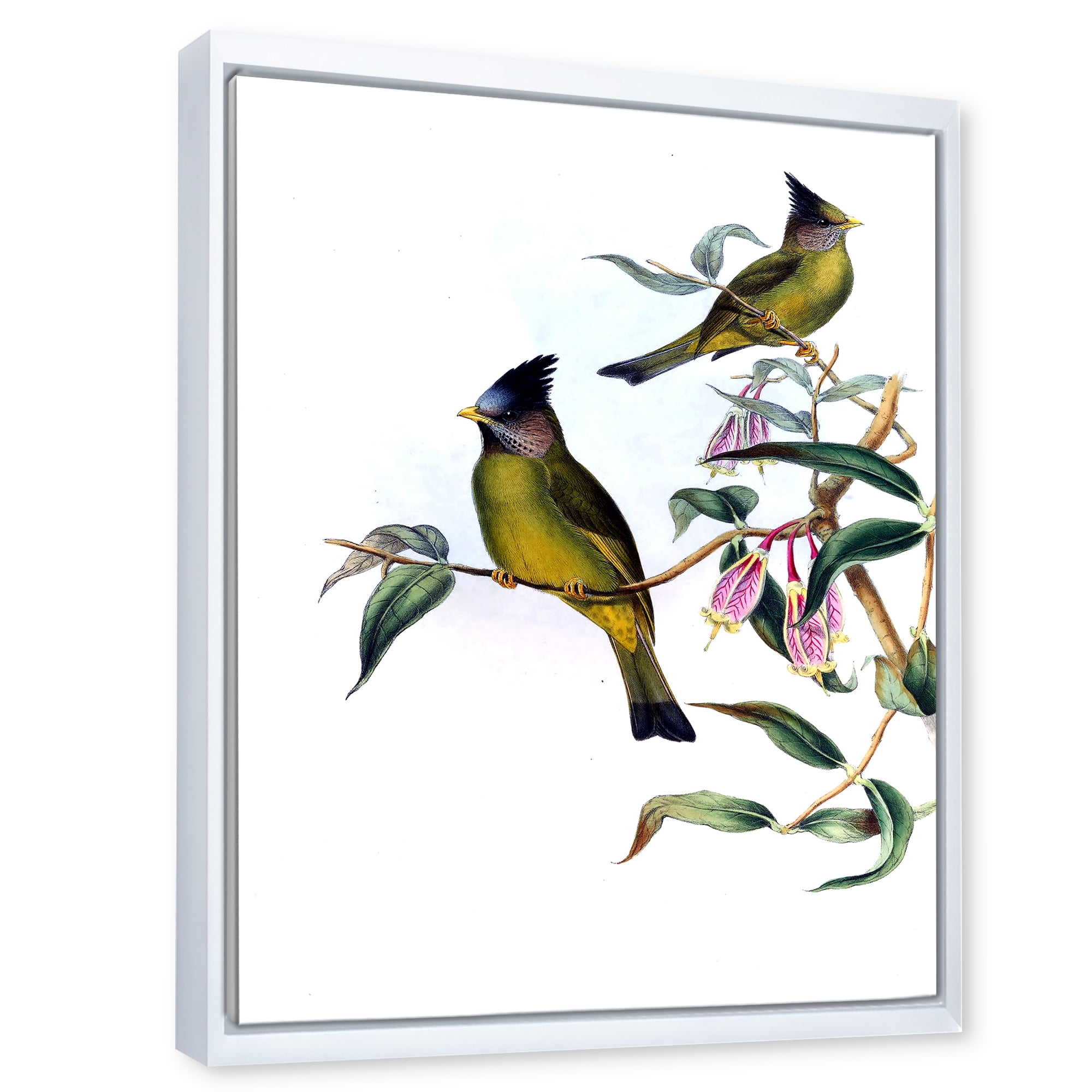 Designart 'Vintage Countryside Birds On Branch II' Farmhouse Framed Canvas Wall Art Print