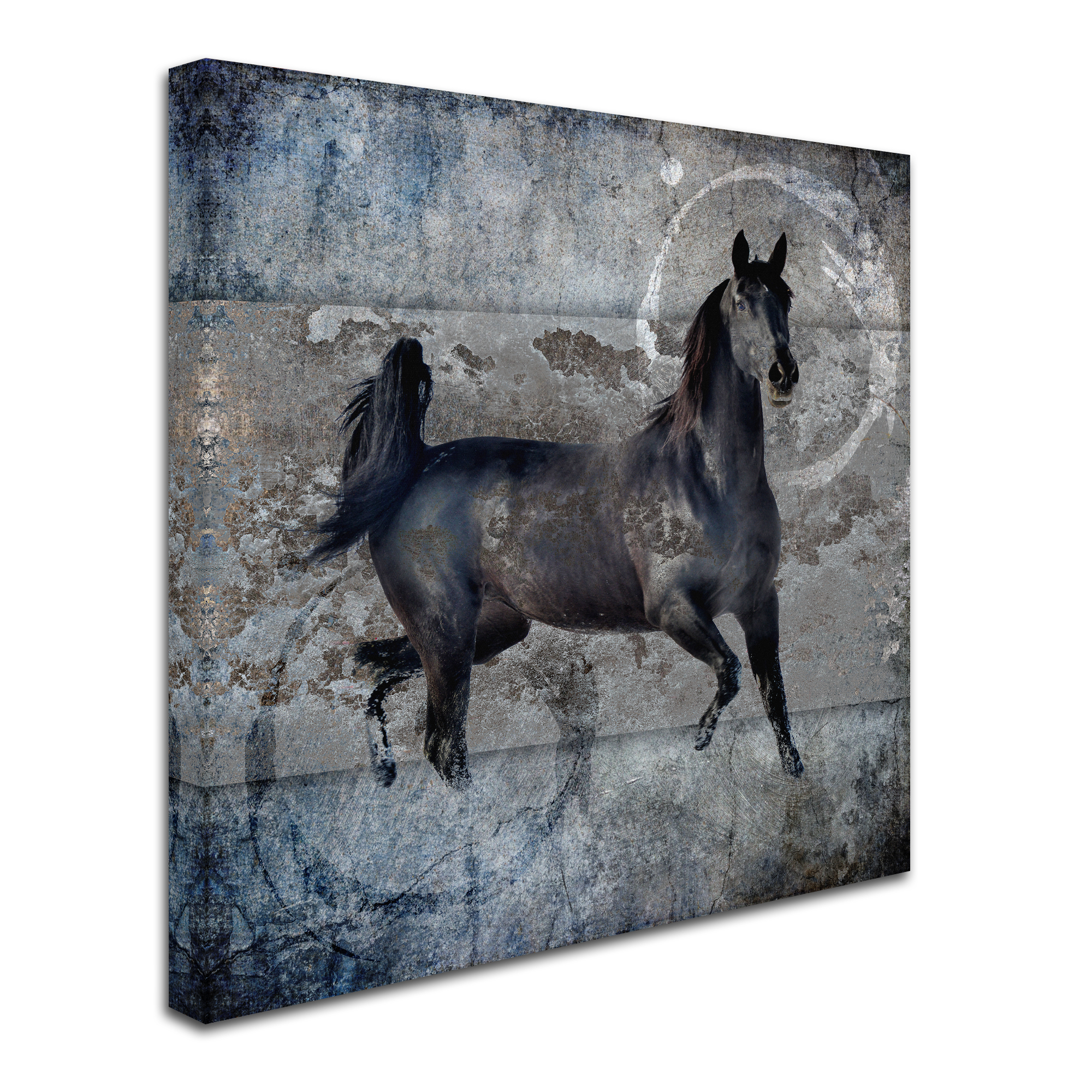 LightBoxJournal 'Black Mare 2' Canvas Art