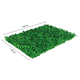thumbnail image 4 of Follaje Artificial Malubero 10 Pzas Tupido, 4 of 4