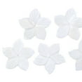 thumbnail image 2 of K-KED 10PCS 27mm Natural White Mother of Pearl Shell Bauhinia Flower Delicate Jewelry DIY, 2 of 4