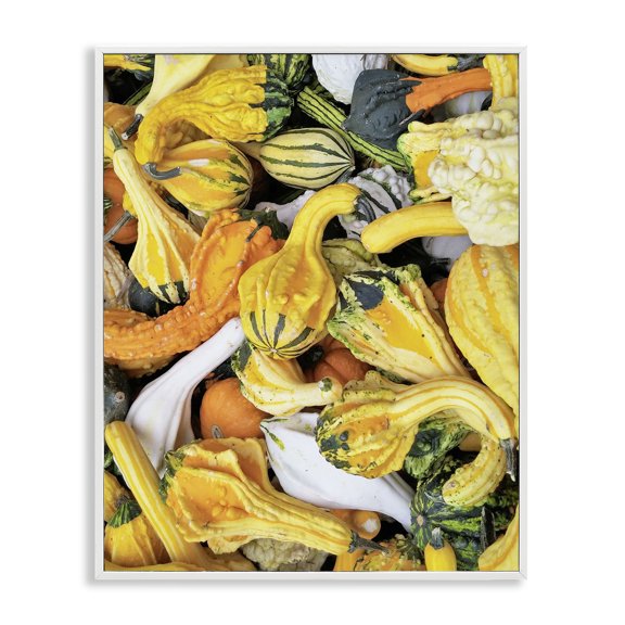Stupell Industries Rustic Lodge Mixed Autumn Gourd Arrangement White Framed Giclee Art, 11 x 14, by Lil' Rue