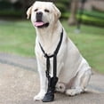 thumbnail image 5 of Front Paws Healing Boot for Various Breeds Water Resistant Soft Dog Paws Protector Shoe After Surgeries Recovery Footwear, 5 of 9
