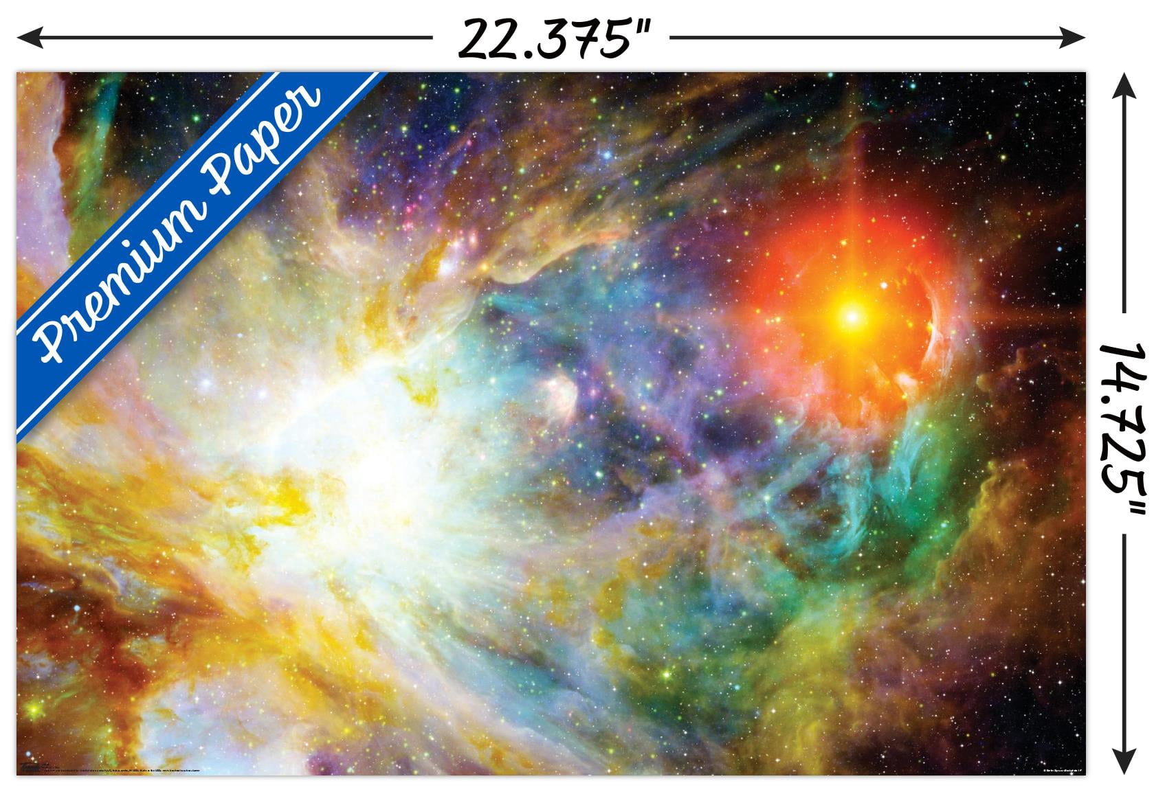 Birth of a Star Wall Poster, 14.725" x 22.375"