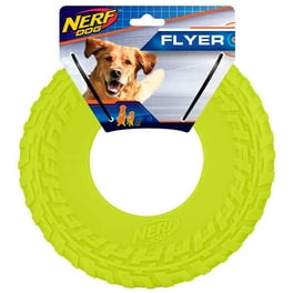 Nerf dog frisbee online