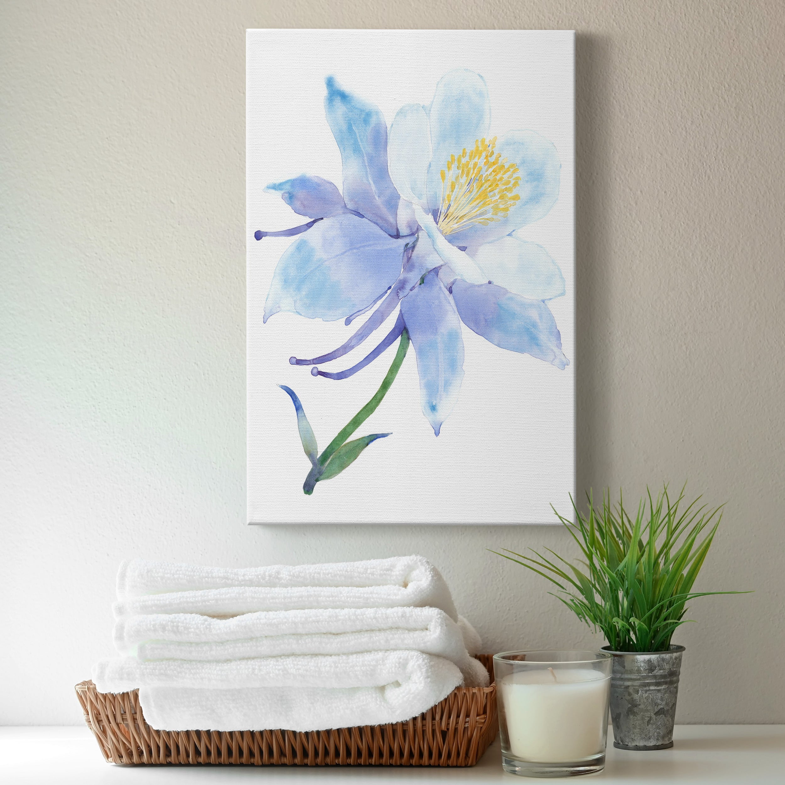 Columbine Bloom I Premium Gallery Wrapped Canvas - Ready to Hang