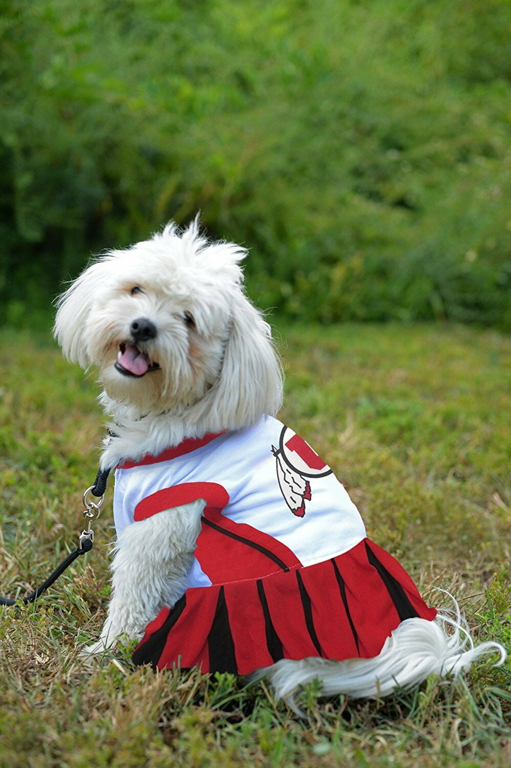Pets First College Utah Utes Cheerleader, 3 Sizes Pet Dress Available. Licensed Dog Outfit