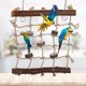 thumbnail image 4 of Columpio para pájaros, jaula para pájaros, loros, escalera para pájaros, escalera de cuerda para pájaros construida para el futuro, 1 ud., 4 of 8